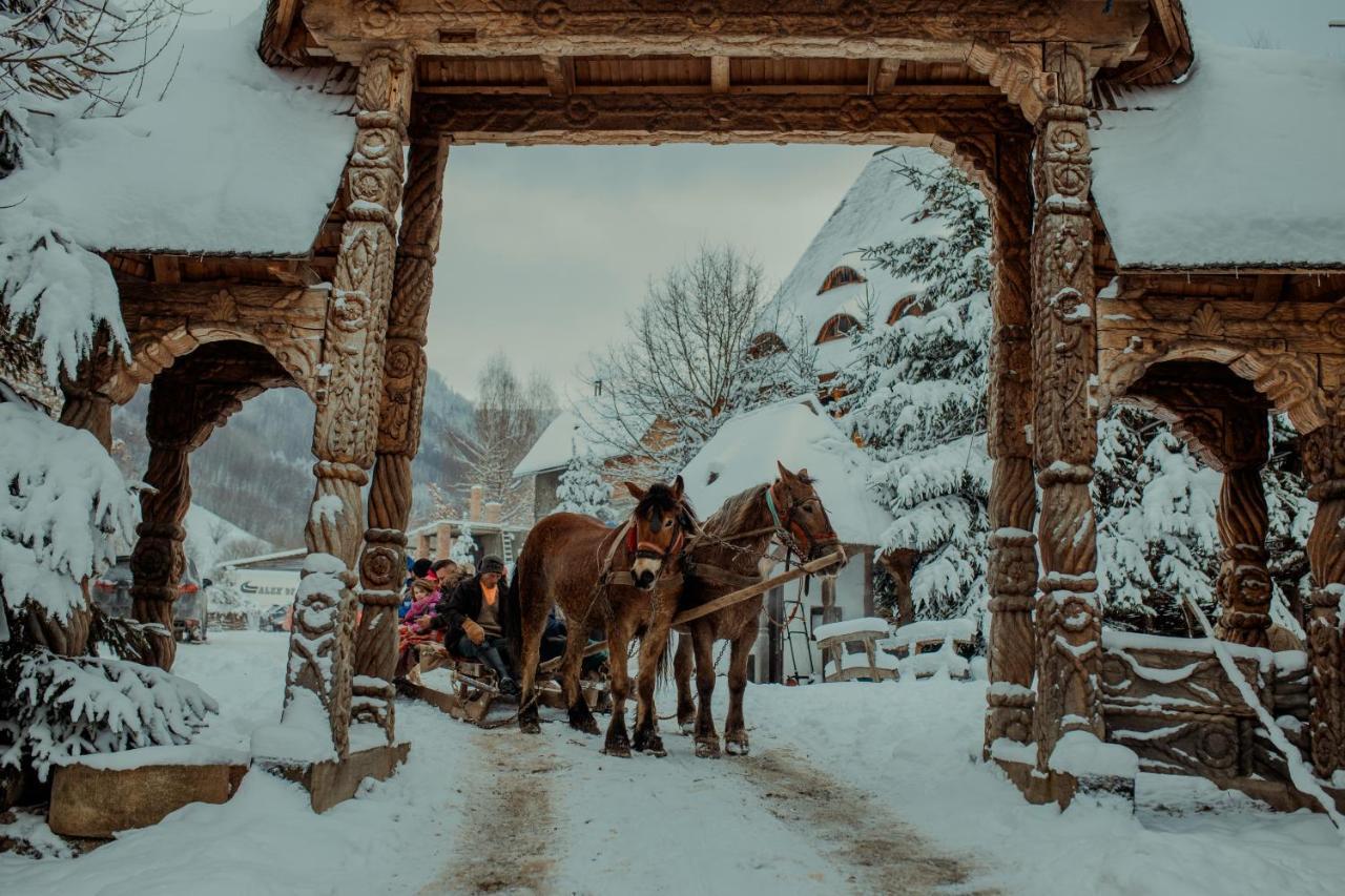 Conacul Drahneilor Otel Ruscova Dış mekan fotoğraf