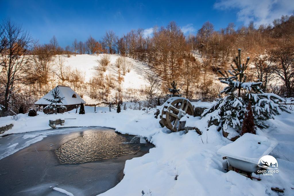 Conacul Drahneilor Otel Ruscova Dış mekan fotoğraf