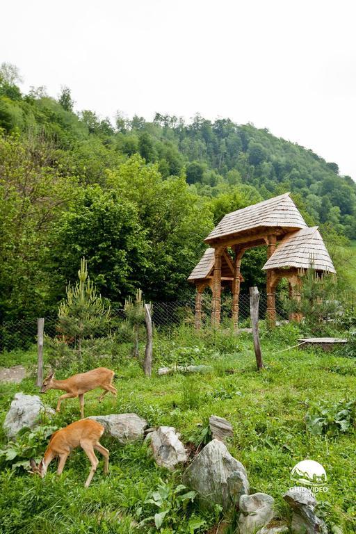 Conacul Drahneilor Otel Ruscova Dış mekan fotoğraf