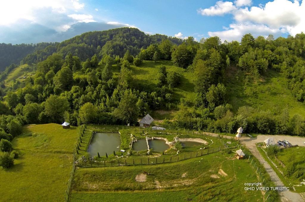 Conacul Drahneilor Otel Ruscova Dış mekan fotoğraf